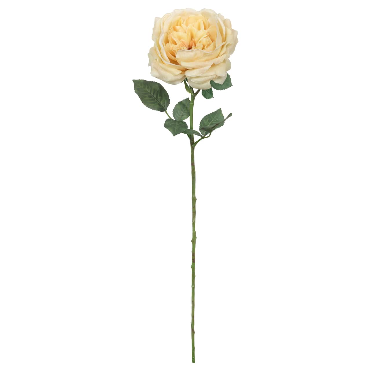 25.5" Yellow Rose Stem by Ashland®
